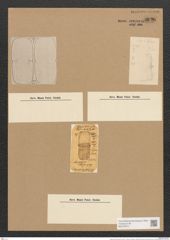 Amphora excisa Greg. (de-Toni-Nr.: Genus 36, Species 1509) Zeichnungen Sammlung Grunow Nr. 2928 (NHMW-BOT-W0370273)